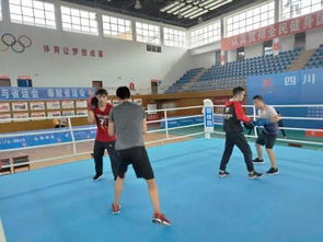 勇敢者的運(yùn)動(dòng) 四川省第十三屆運(yùn)動(dòng)會(huì)拳擊比賽在昭化熱血開賽