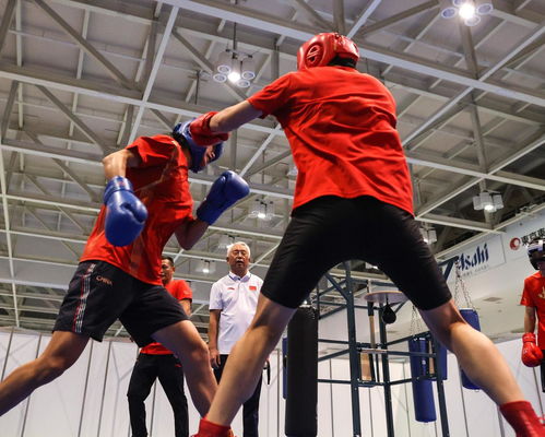 2020年?yáng)|京奧運(yùn)會(huì)拳擊比賽 賽事組織與特色