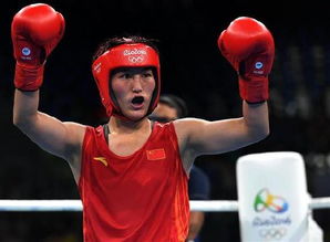 15日綜述 中國(guó)軍團(tuán)遭遇無(wú)金日，巴西喜添拳擊第二金